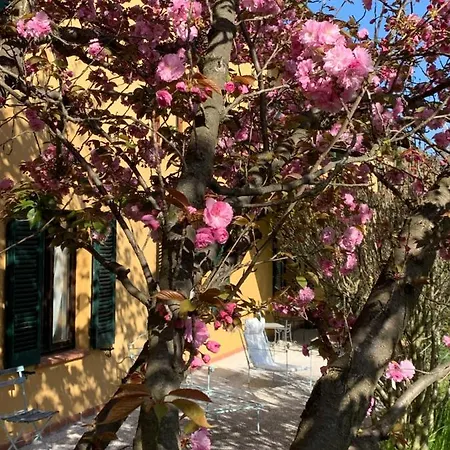 Villa Tenuta Contessa Chiara