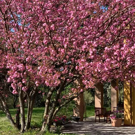 Villa Tenuta Contessa Chiara Fontanile
