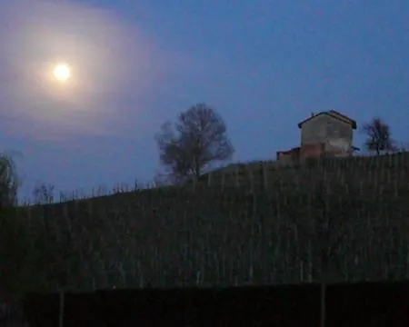 Tenuta Contessa Chiara