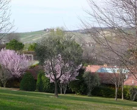 Tenuta Contessa Chiara *